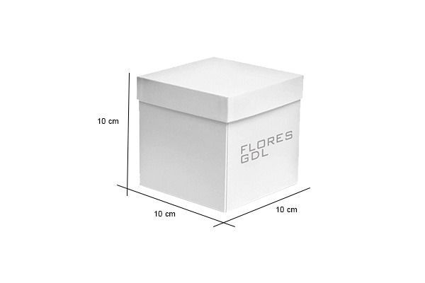CAJA PARA FLORES Caja rígida para regalos con flores en alto y bajo volumen