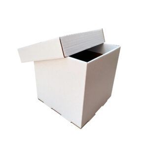 CAJA DE REGALO CHICA SIN IMPRESIÓN CORRUGADO 30X30X30. EMPRESA MEXICANA DEDICADA A LA FABRICACIÓN DE CAJAS DE CARTÓN. EMPRESA MEXICANA