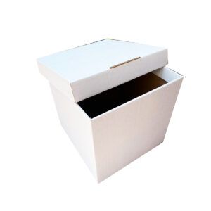 CAJA DE REGALO DE CARTÓN CORRUGADO SIN IMPRESIÓN. FABRICACIÓN Y DISEÑO DE CAJAS DE CARTON PERSONALIZADAS. UBICADOS EN GUADALAJARA, JALISCO.